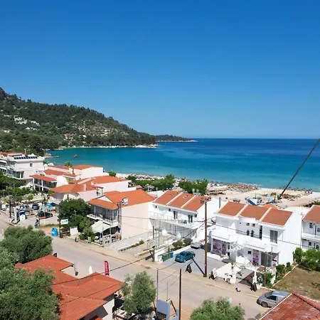 Almia 크리시 아모우디아